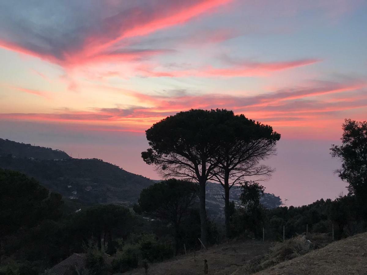 Incantevole Villa Con Vista Mozzafiato Cefalù Kültér fotó